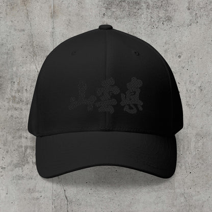 True Mountain Blacked-Out - Flexfit Cap