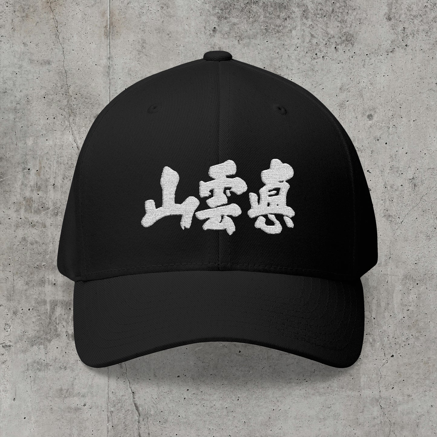 True Mountain - Flexfit Cap-Kokin Denju-